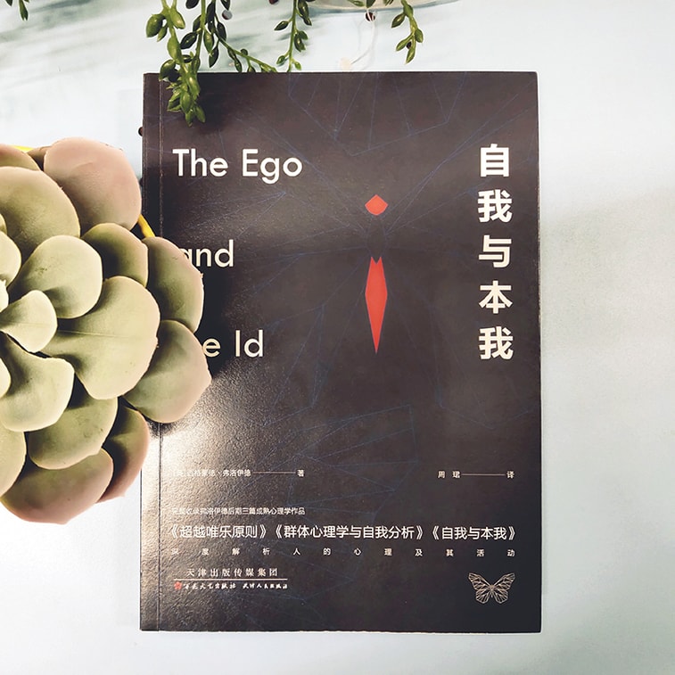 自我与本我(2019全新译作,未删节) 3