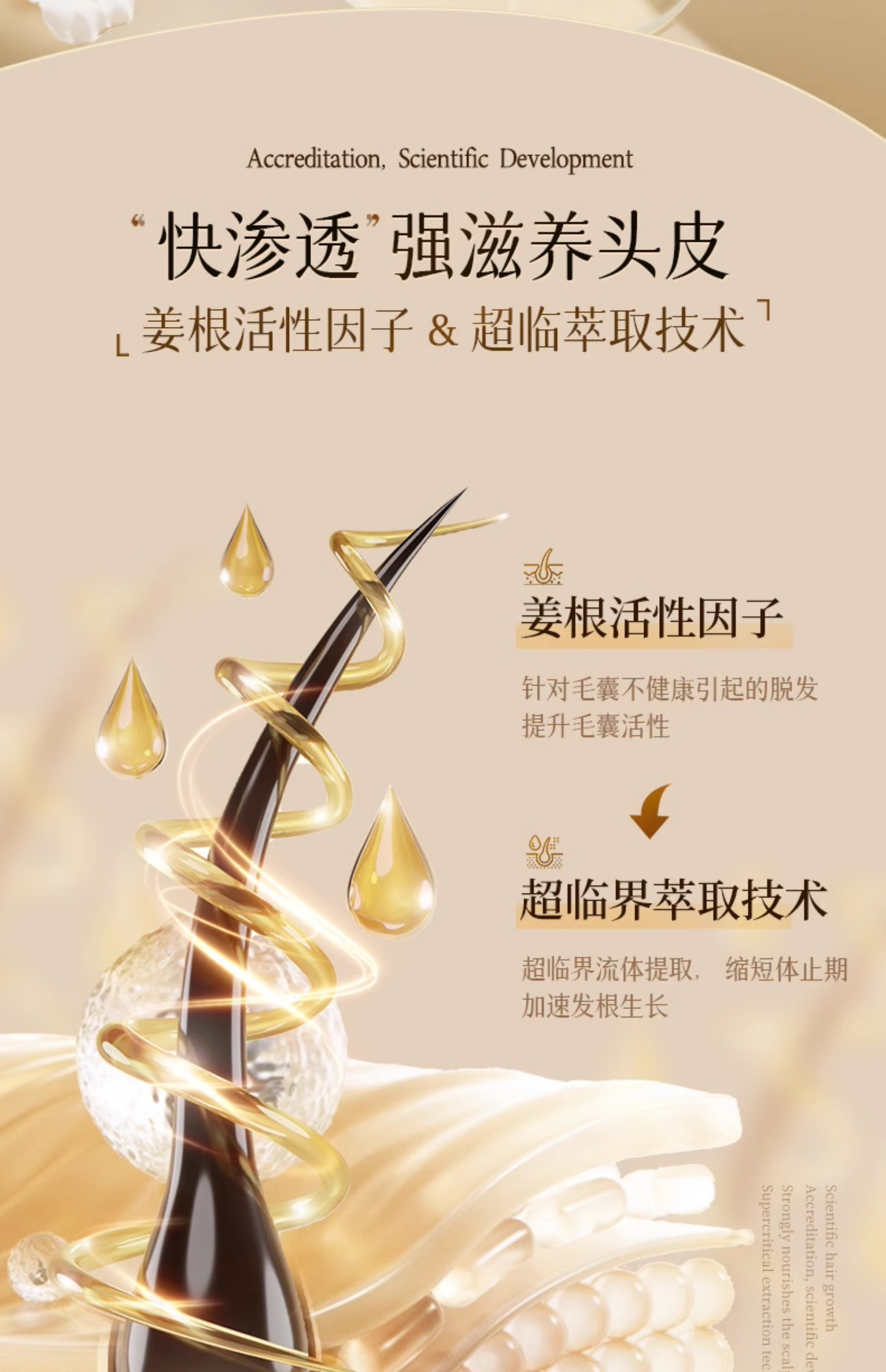 【中国直邮】 新加坡 Kuvive 防脱洗发水 长发育发控油蓬松去屑咖啡因生姜固发脱发洗头膏露 500ml/瓶