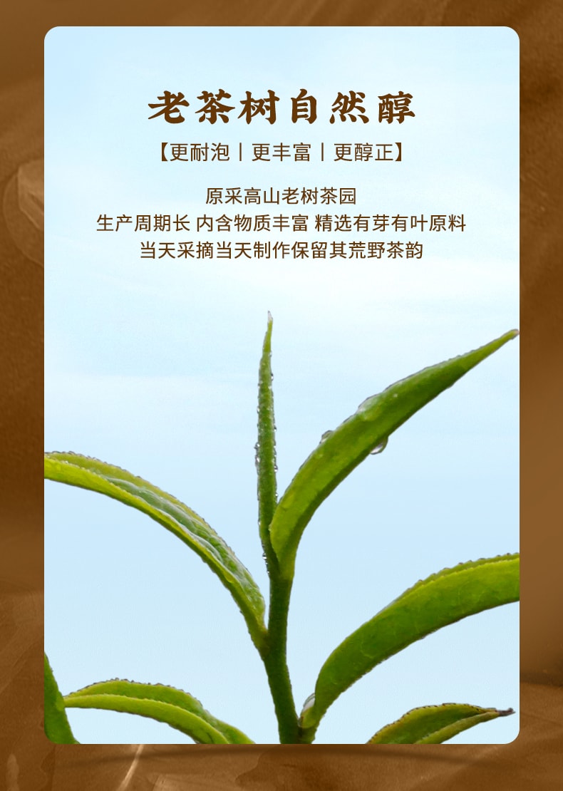 鳳牌 經典58滇紅茶 雲南鳳慶老茶樹紅茶 蜜香甘甜 口糧茶首選 鐵盒超值裝 380g