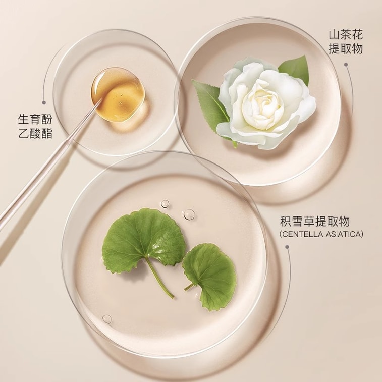 [중국 직송] 지세 라이트 애드미레이션 립글레이즈 매트 학생용 립스틱 (M01# 팁시 레드 페어) 3