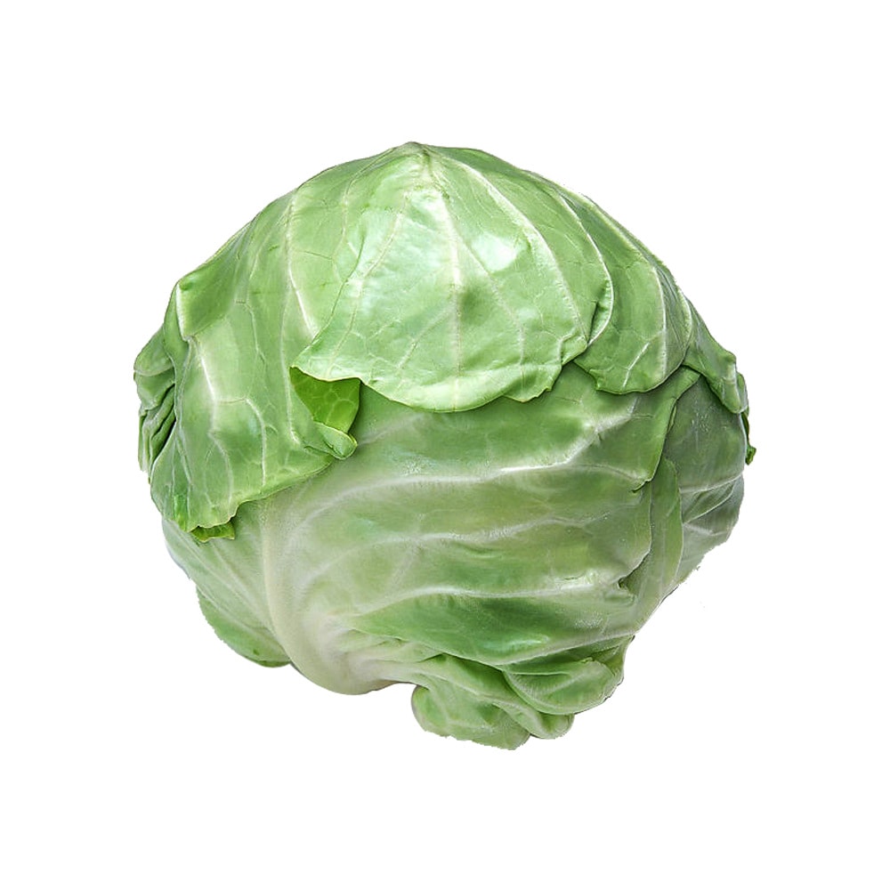 包心菜2327磅怎么样