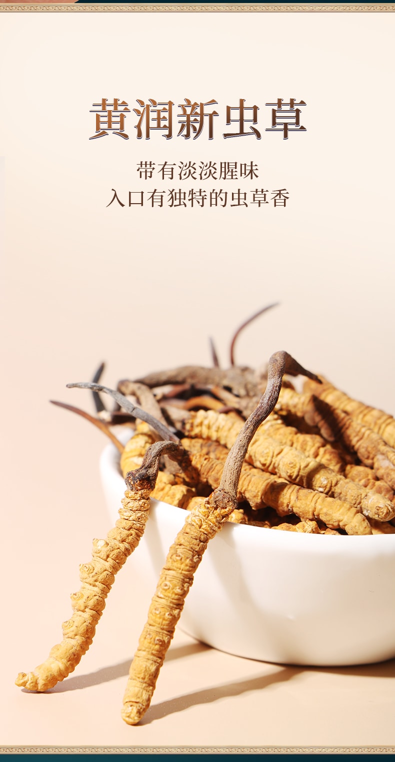  北京同仁堂 西藏道地冬蟲夏草1g 西藏頭期蟲草乾貨滋補補腎潤肺壯陽止咳化痰【手工甄選海拔4500的優質原料 蟲草飽滿色澤金黃】