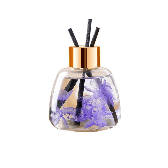 Encounter Car Home Bedroom Universal 120g * 1 Bottle