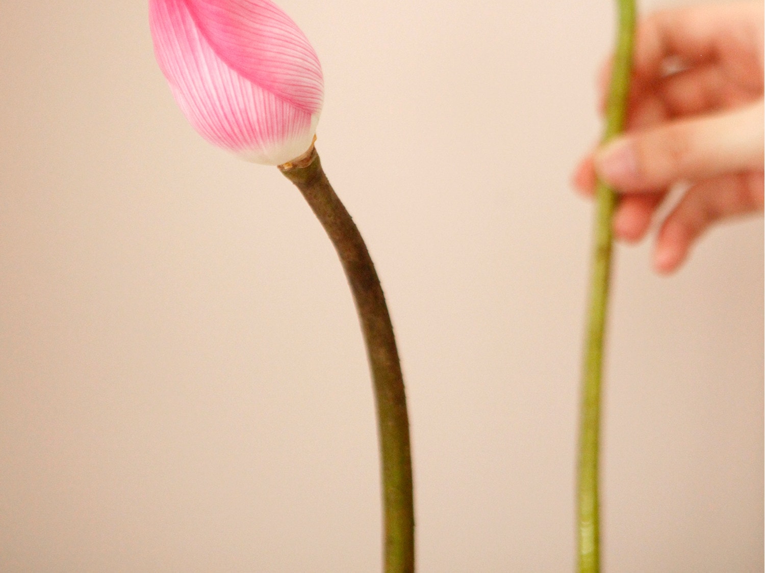 【中國直郵】 故宮淘寶 兜裡有香香 {芙薔} 蓮花荷花香 古風香膏固體淡香香水 出淤泥而不染香氣雅緻 【芙葖+花瓣取香勺】10g