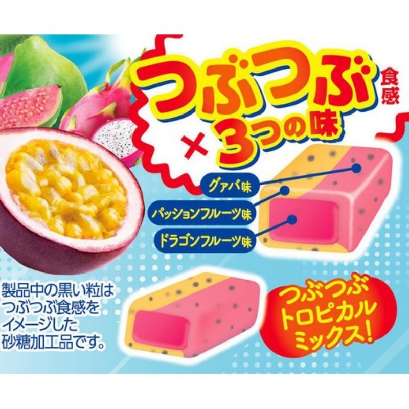 トロピカルフルーツ♡グァバの木♡果樹 トロピカルフルーツ グアバ 日本 先行受付 2026年発送 畑人のグァバ 約