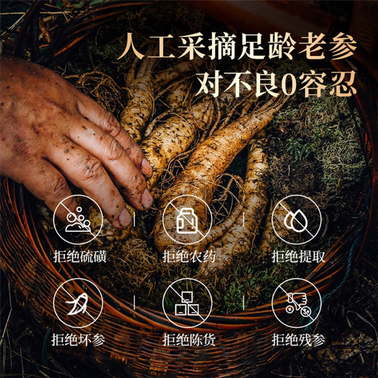 中国直邮】北京同仁堂长白山人参白参东北晒参干人参野山参礼盒泡酒100g