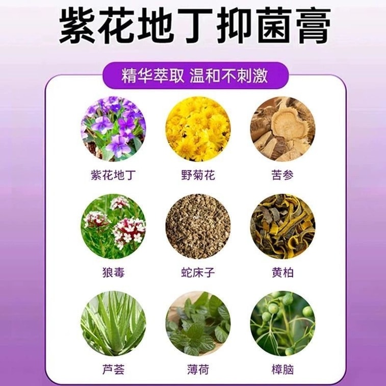 【中國直郵】 北京同仁堂 紫花地丁透皮抑菌膏止癢全身外用非藥膏 30g/瓶 4