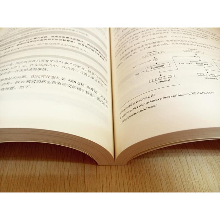 白帽子讲Web安全（纪念版） 4