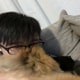 亚米UGC图片