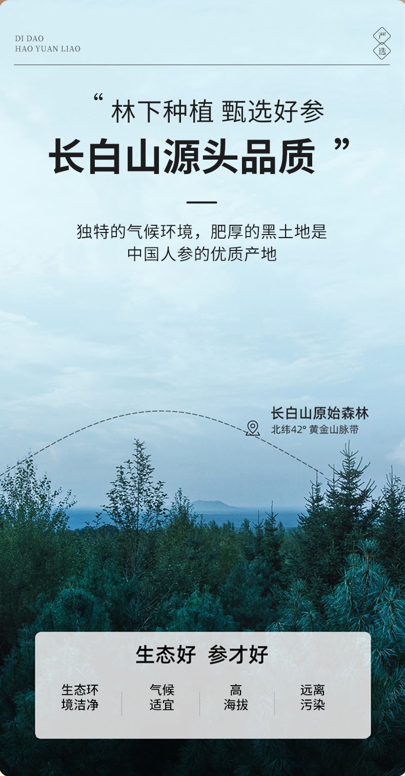 南京同仁堂 长白山红参片 40g 5 年足龄无糖切片 大补元气 泡水泡酒煲汤送礼