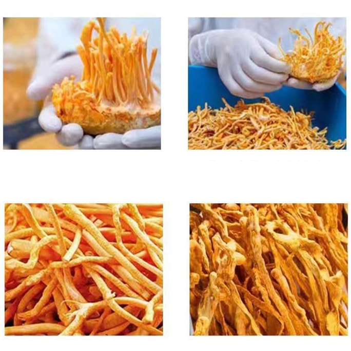 【中国直送】SIFANDA 冬虫夏草 100g