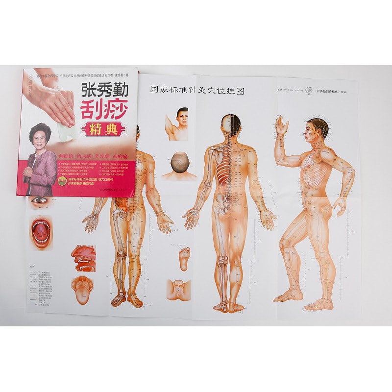 张秀勤刮痧精典- Yami.com