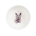 Petorama陶瓷宠物肖像印花圆形碗-蓝猫