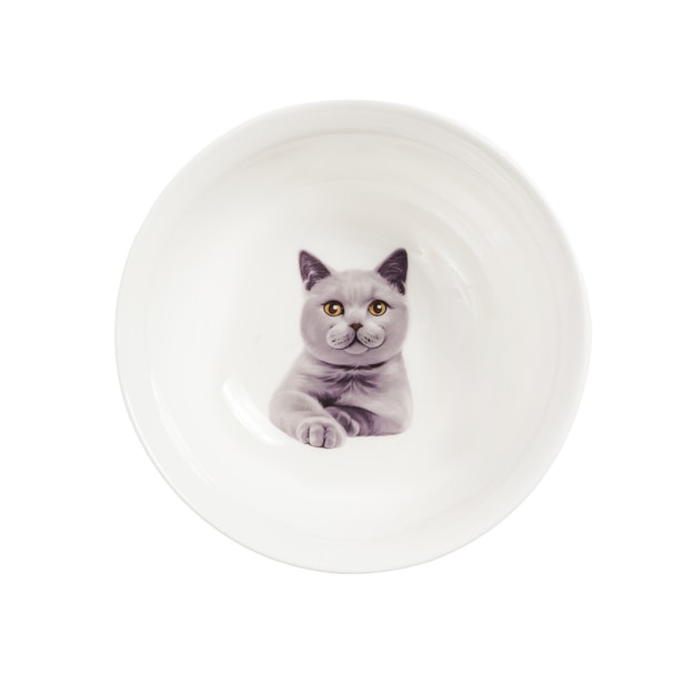 商品详情 - Petorama陶瓷宠物肖像印花圆形碗-蓝猫 - image  0