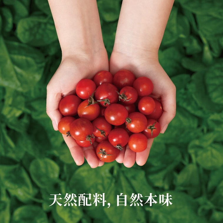 【中國直郵】 蜀風雅香 山野生機 貴州毛辣果紅酸湯 火鍋底料 0添加防腐劑 75g*4 6