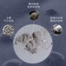 金正 无线除螨仪【配备 2款滤芯】【声波震螨+99.99%除螨率】 床褥沙发专用 免清洗滤网 除螨除臭神器【过敏星人救星 母婴 养宠家庭必备】家居焕新 无法吸附头发 #冷艳紫【顾客反馈吸力偏弱】