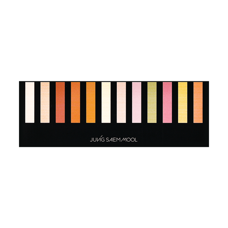 韓國JUNG SAEM MOOL鄭瑄茉莉 藝術家遮瑕盤 化妝師專業彩妝修容盤 遮淚溝色斑黑眼圈 膚色 附遮瑕刷 9