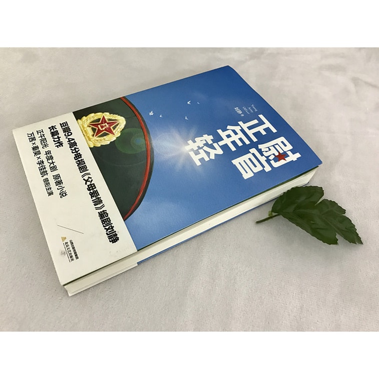 尉官正年轻 作者刘静逝世前经典之作(正午阳光年度大剧 我们正年轻原著小说 万茜、秦昊、李佳航领衔主演)豆瓣9.4分高赞 经典留存 不可再得 3