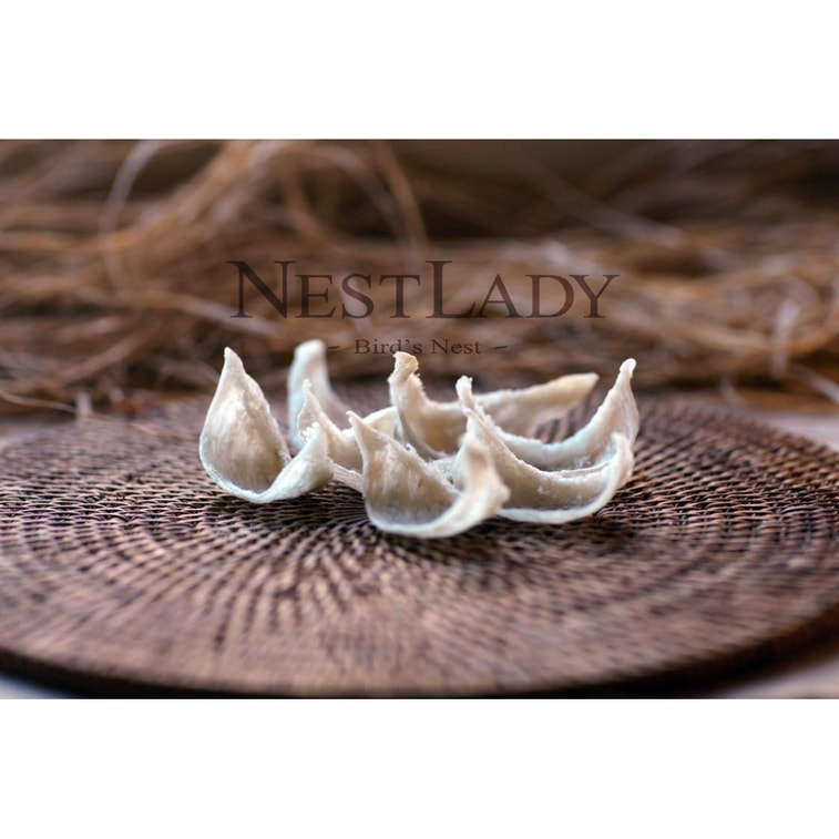 美國NESTLADY 頂級雨季頭期 幹挑大盞燕窩 6A王妃盞 經濟實用裝 增強免疫力 250g【2025年 雨季頭期燕窩年末清倉】已通過FDA/USDA檢查 8