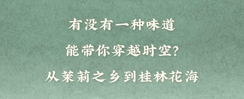 九阳茉莉龙井豆乳茶 120g 无蔗糖速溶豆奶茶粉 非转基因大豆植物奶 杭州龙井绿茶广西横州茉莉茶粉 冷热双泡低卡控卡冲饮 早餐下午茶办公宿舍代餐饮品