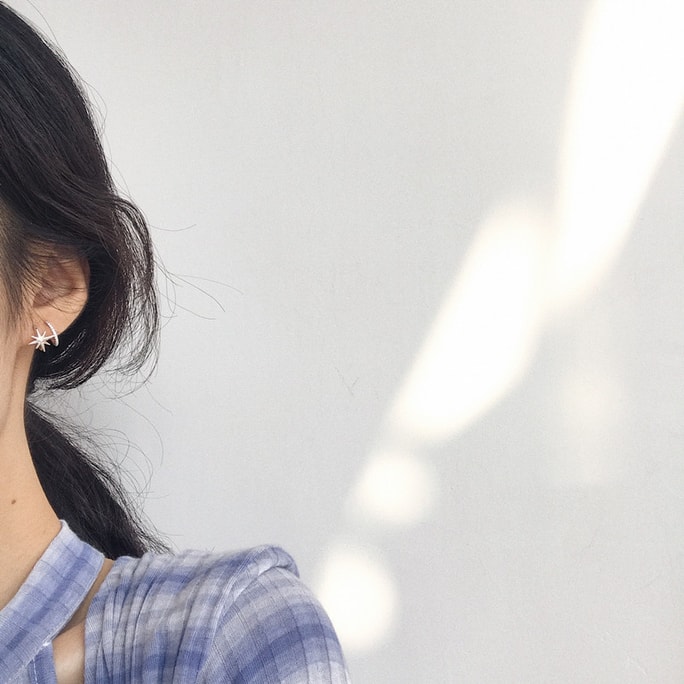 Silver Earring Female 1 pair