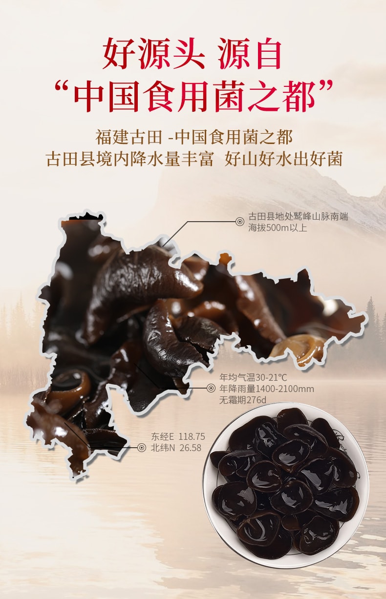  菌妍 东北黑木耳 无根肉厚 50g【可炖汤凉拌炒菜 富含木耳多糖(有助增强免疫力) 膳食纤维(“血管清道夫”美誉的由来)和铁(利于补血)】 