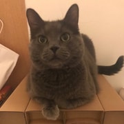亚米UGC圖片