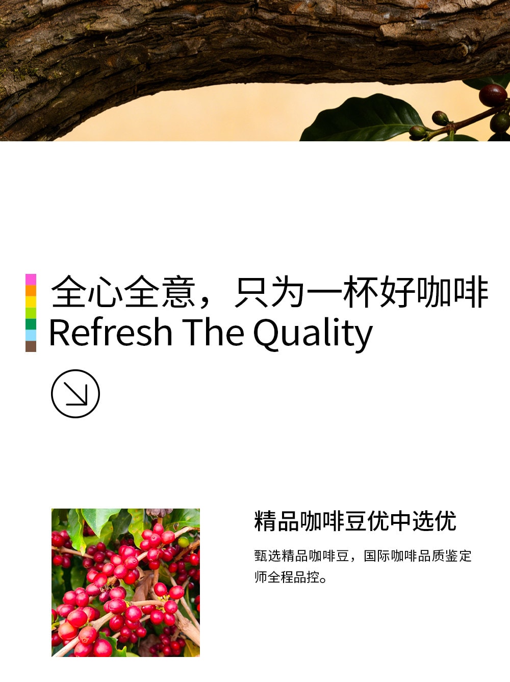 【中国直邮】 F5 即溶咖啡粉 美式黑咖啡 速溶阿拉比卡咖啡 1.8g*10条装