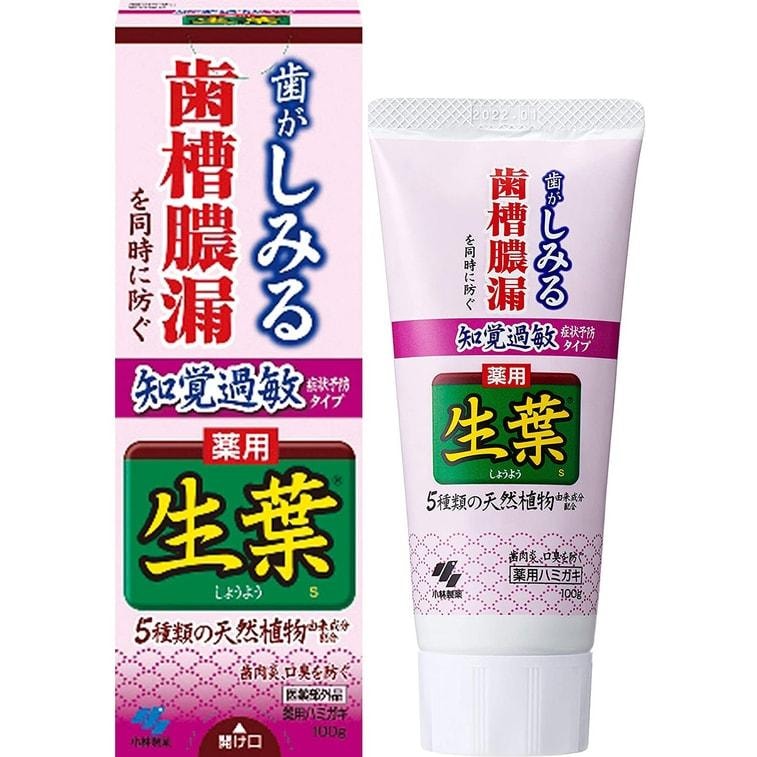 【日本直郵】KOBAYASHI小林製藥 生葉天然植物牙膏 有效防止牙齦出血 腫痛 紅色裝 100g 亮白閃耀 清新口氣 口腔護理 健康相伴