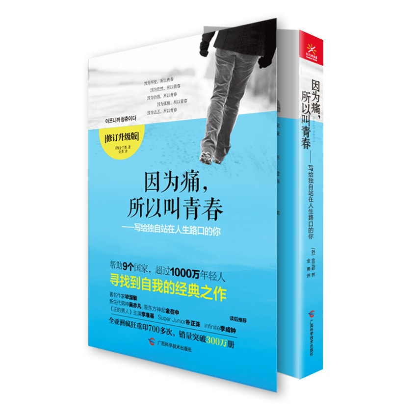 因为痛，所以叫青春：写给独自站在人生路口的你（修订升级版） - Yami