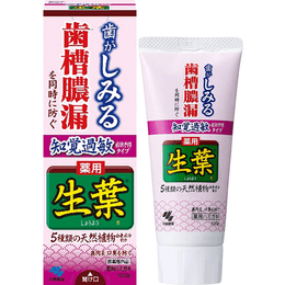 【日本直郵】日本KOBAYASHI 小林製藥 生葉天然植物牙膏 有效防止牙痛過敏 紅色裝 100g