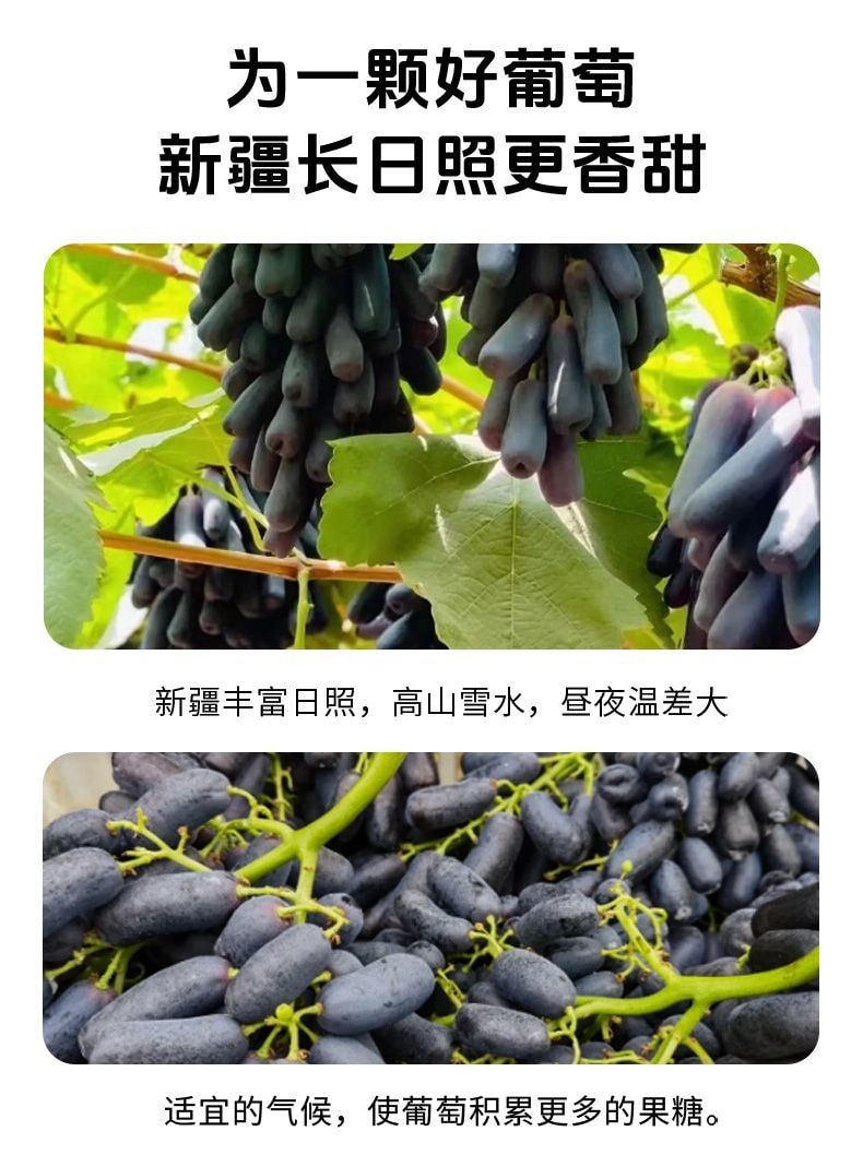 马小养 【店庆大促】蓝宝石葡萄干新疆葡萄干特产自然风干休闲零食80克*1袋