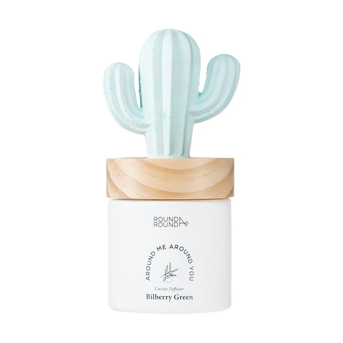 Bilberry Cactus Diffuser for Room - Bilberry Green Scent 3.38 fl oz