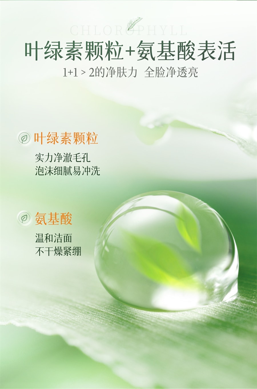 【中國直送】 日本 BUST BUV 葉綠素氨基酸細嫩潔面乳洗面奶收縮毛孔控油溫和深層清潔男女 100g