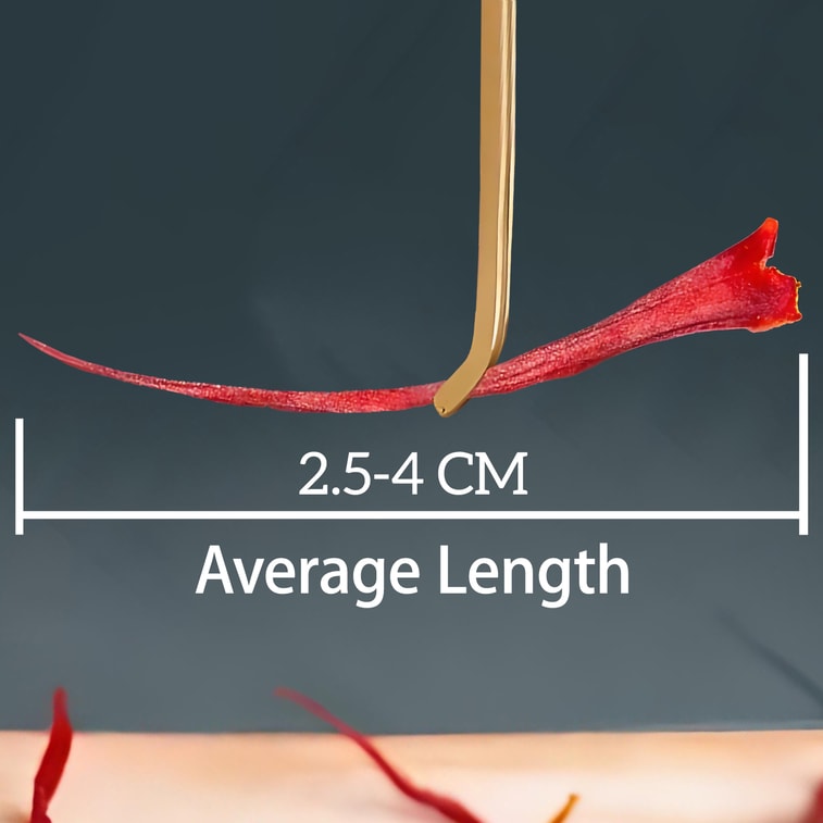 US Inventory 1g Premium Saffron Threads - Pure Saffron For Cooking, Baking & Wellness - Rich In Antioxidants & Natural Flavor - 0.035 Oz 3