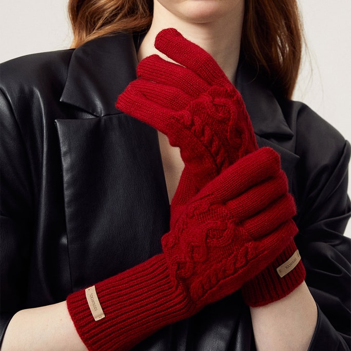 【中国直邮】 HSPM 新款冬季圣诞款节日礼物保暖骑车毛线麻花手套 波尔多红 F 1副