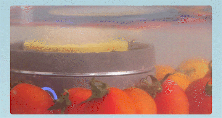 【中國直郵】 東菱 轉轉蔬果清洗機洗菜神器蔬果清潔食材洗菜機 靜謐藍【鈦合金電解片 淨化效果好】1個