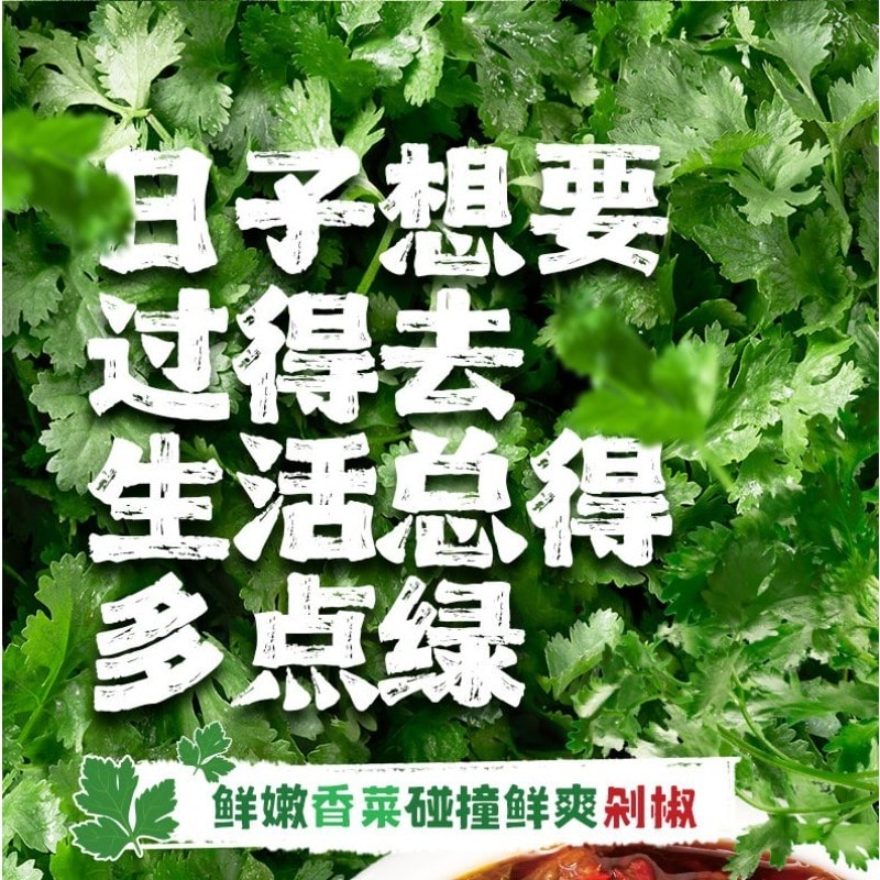 暴下饭 香菜酱开味下饭菜即食佐菜200g/瓶