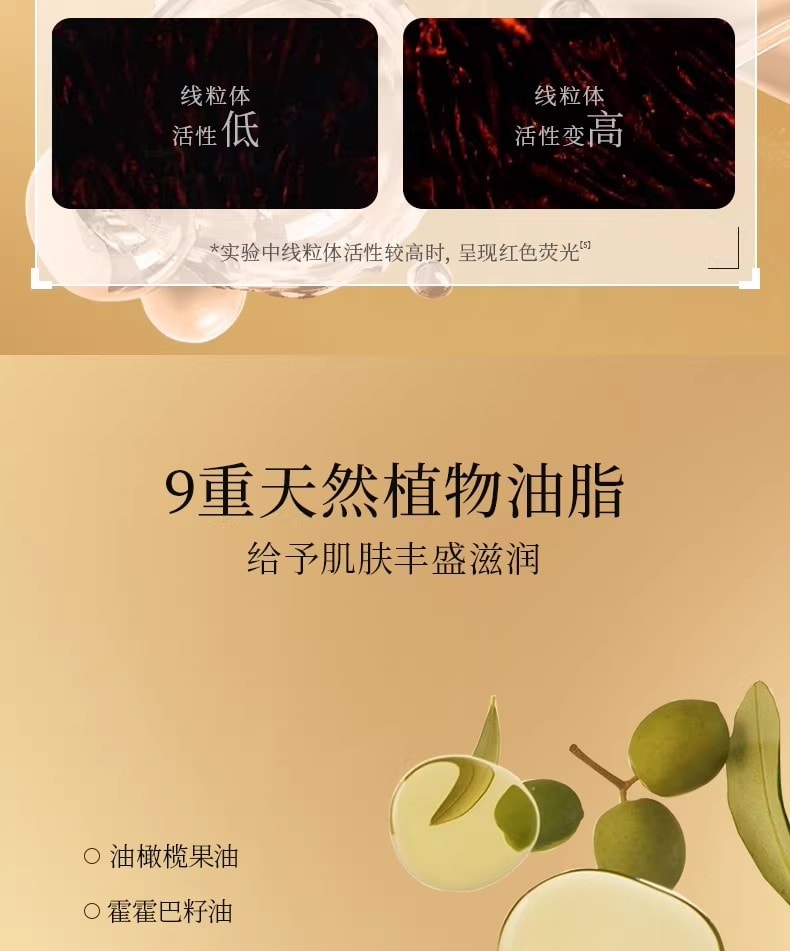 【中國直郵】 FanBeauty 靈芝白松露淡紋油膏面膜 滋養補水保濕 雙艙協同 奢養年輕 5片/盒【小紅書爆款推薦】