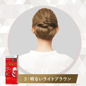 Plant Covering White Hair Press Type Hair Color Cream 3