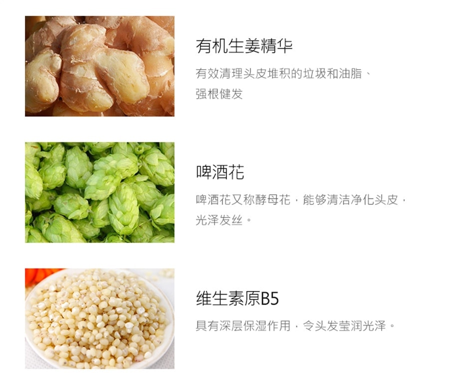 Ginger Hair Nourishing Shampoo 550ml/ bottle