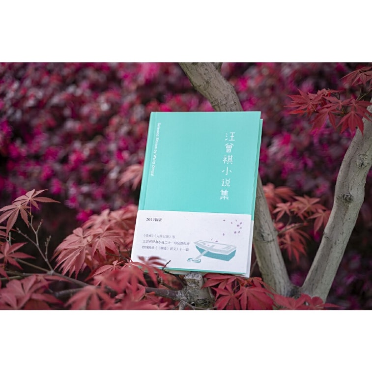 [중국에서 온 다이렉트 메일] I READING 왕증기의 소설을 읽는 걸 좋아해요 7