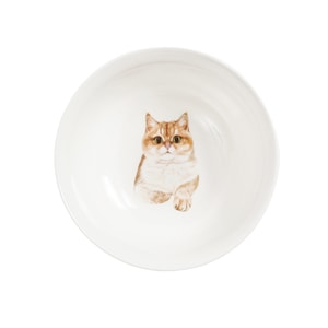 Petorama Pet Portrait Porcelain Bowl - British Shorthair(Golden)