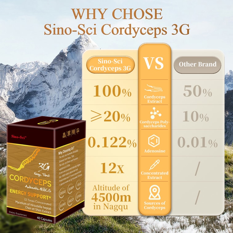 3G Cordyceps Energy Support Immunity Booster 40Counts 7