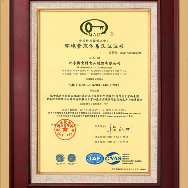 Beijing Traditional food Poria cake Fuling Pancake  9 Pieces 200g 5