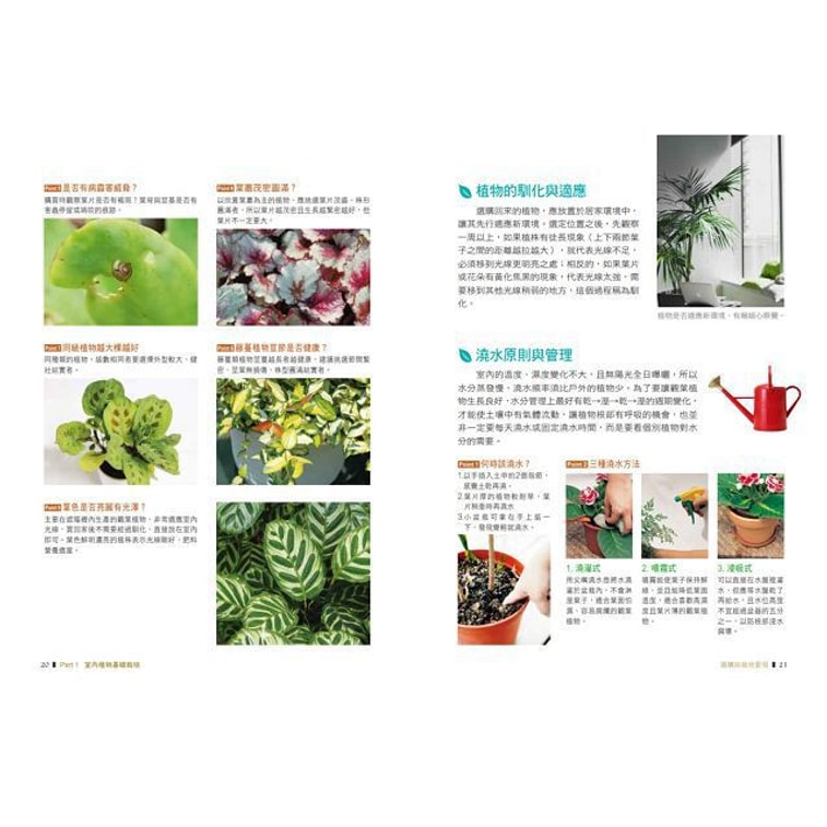 【繁體】綠色家屋:120種室內觀花、觀葉植物栽培與空間綠美化 3