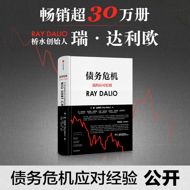 【中国直邮】I READING爱阅读 债务危机 6