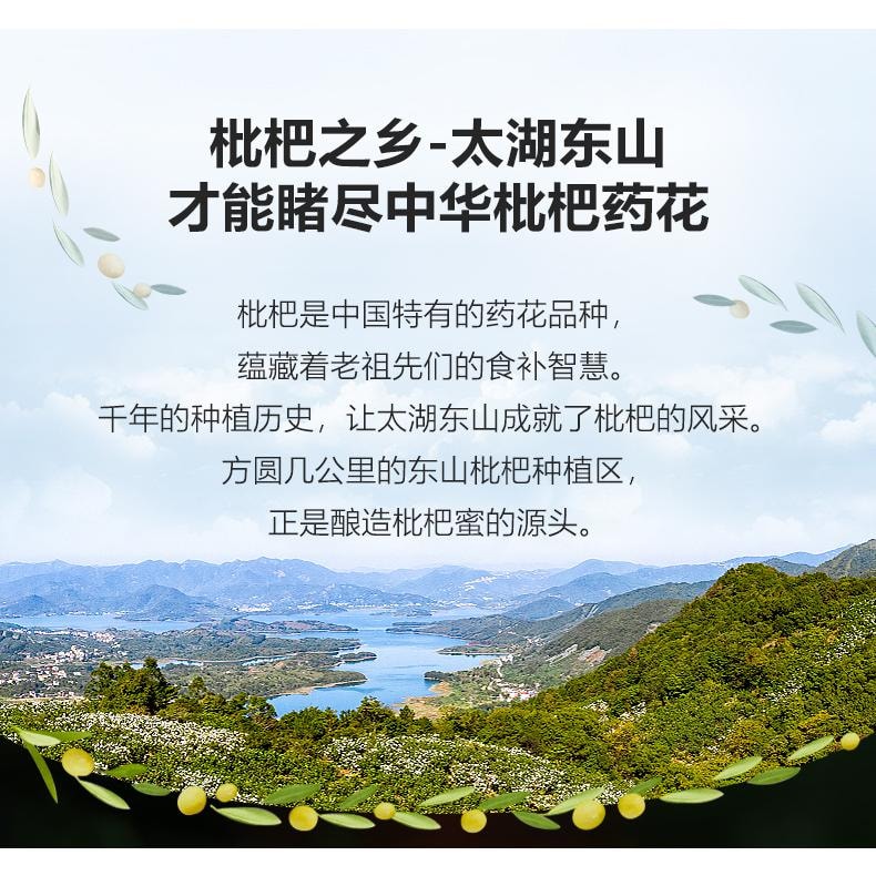 【中國直郵】 九蜂堂 天然野蜜枇杷蜂蜜50g*1瓶