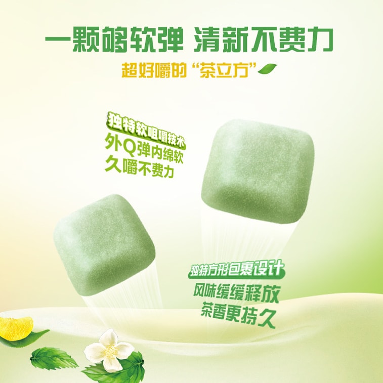 Sugar-Free Chewing Gum (Pomelo Jasmine Longjing Tea Flavor) 40g 3