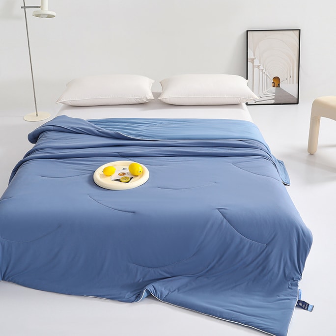 Summer Comforter 200x230cm Blue